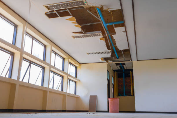 Best Water damage contractors near me  in Apopka, FL