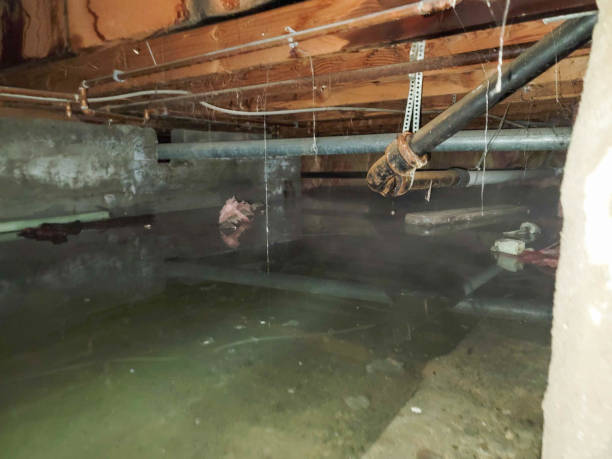 Best Fire Damage Restoration  in Apopka, FL