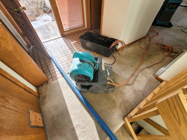 Best Water damage restoration insurance claims  in Apopka, FL