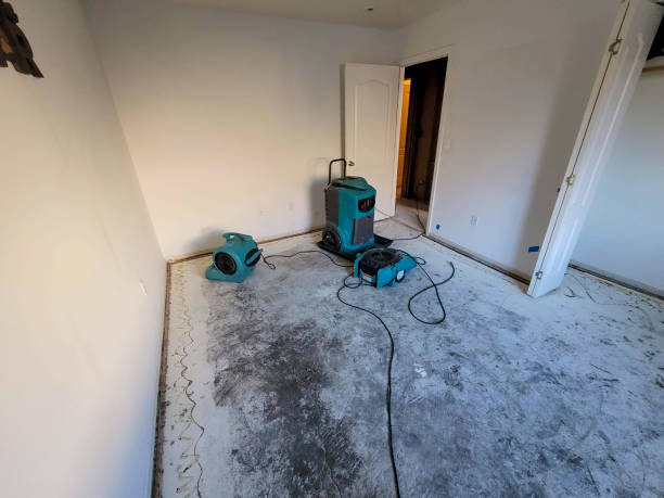 Best Flood restoration services  in Apopka, FL