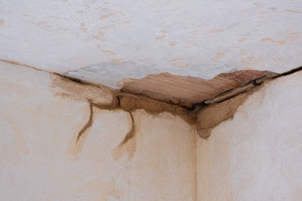 Best Water damage cleanup near me  in Apopka, FL