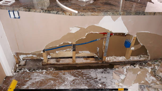 Best Flood damage cleanup  in Apopka, FL