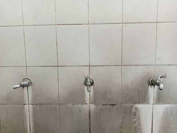 Best Water damage restoration near me  in Apopka, FL