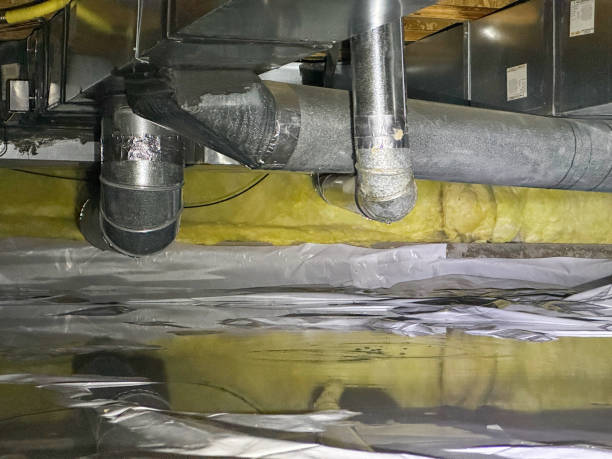 Best Basement water damage restoration  in Apopka, FL