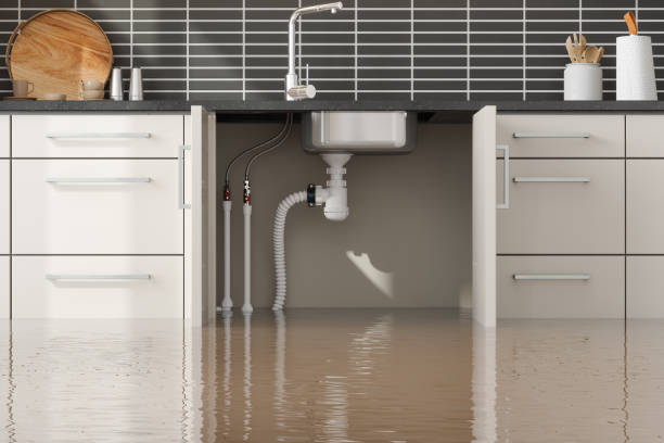 Best Commercial water damage restoration  in Apopka, FL