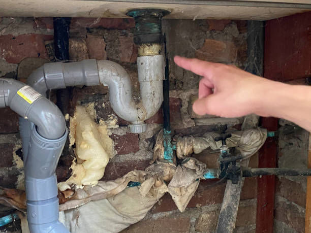 Best Water damage restoration mold remediation  in Apopka, FL