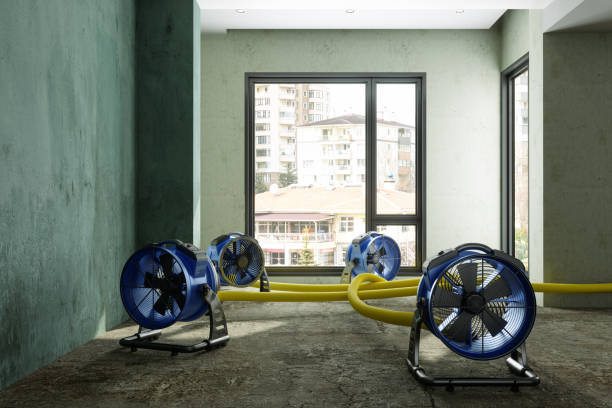 Reliable FL Water damage restoration Solutions